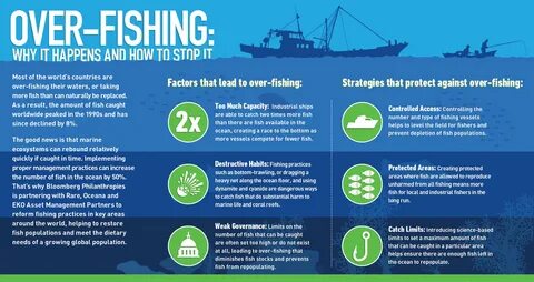 How the U.S. fixed most of its overfishing problem - CNBC