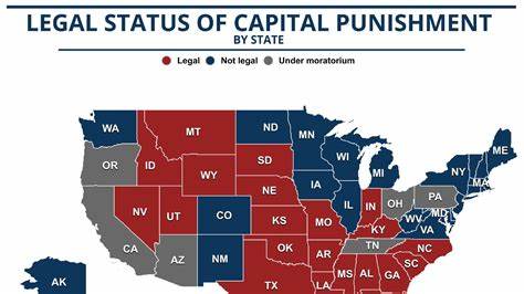 深入探讨刑法的核心内容,全面解析各种犯罪类型、相应的刑罚措施以及司法管辖权的原则,为法律从业者和公众提供权威且实用的参考。
