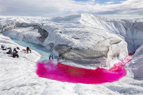 回顾北极海冰"十年消失"争论,厘清媒体报道、个别科学家预测与科学共识的差别,解释海冰指标(面积、范围、厚度、体积)与观测方法,揭示外推预测的陷阱,并给出如何辨别可信信息与与公众沟通的建议。
