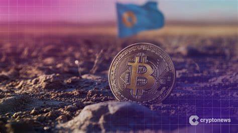 哈萨克斯坦总统托卡耶夫倡议设立基于国家银行投资机构的数字资产储备基金,拟纳入"有前景"的加密资产并配套数字坚戈、税收激励与网络安全措施。文章剖析该提议的背景、潜在影响、监管与治理要点,以及对金融体系、矿业能源和外资吸引的意义和建议。
