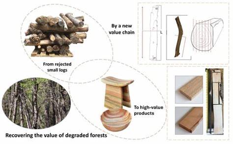 探讨如何回收利用自然森林中被遗弃的小径木,通过创新的分级与加工方法,实现木材价值的最大化,不仅推动小型林主的经济收益,也助力生态环境的可持续发展。文章深入分析小径木的品质特征、加工技术及其在现代林业产业中的潜在市场前景,揭示绿色经济时代下森林资源全链条优化的战略路径。

