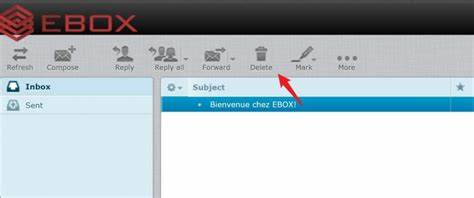 探讨eBox的功能、使用方法及其在数字通信中的重要性,帮助用户轻松管理电子文件,实现高效便捷的数字生活。
