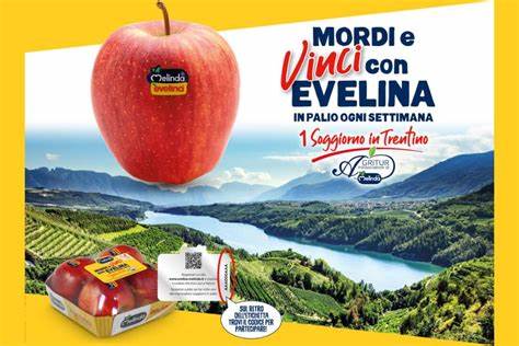 咬一口赢取特伦蒂诺之旅:探索Evelina苹果、Melinda大使农庄和最佳游赏攻略
