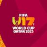 卡塔尔U-17世界杯:伤病风险与东道主遗产的深层影响
