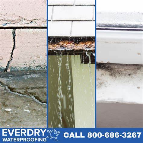 探讨Everdry防水公司被指控在客户住宅内秘密录音事件的背景,影响以及对用户隐私保护的重要性。分析事件可能带来的法律和道德问题,并提出消费者应对建议。
