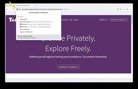 随着互联网监控和数据泄露事件频发,网络隐私成为当代社会的核心问题之一。Tor作为一种先进的匿名通信工具,不仅能够保护用户身份和信息安全,还为新闻工作者、活动家以及普通用户提供了抵御审查和网络监控的利器。深入了解Tor的工作原理与应用价值,助你更好地守护网络自由与隐私。
