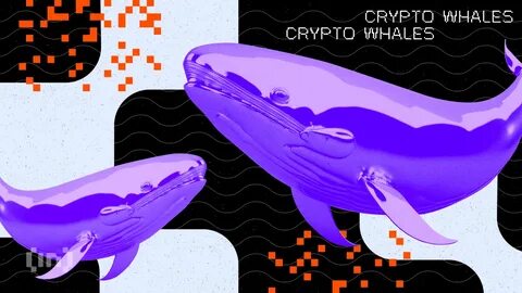 Crypto Whales Bought These Altcoins in the Second Week of April 2025 - BeInCrypto