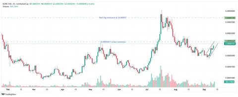 从惊讶到深思:Safety Shot 将 memecoin BONK 作为核心库藏资产的启示与风险解读
