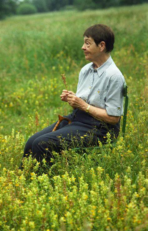 本文详细介绍了德国著名自然保护倡导者洛基·施密特的一生,她如何将对植物和自然的热爱转化为毕生事业,推动了生态保护的社会发展,以及其创立的基金会及影响力。文章深入探讨了她的生平经历、自然保护工作的贡献和遗产,呈现了一位女性如何在环保领域开创先河,激励后人关注生物多样性和环境可持续发展的故事。
