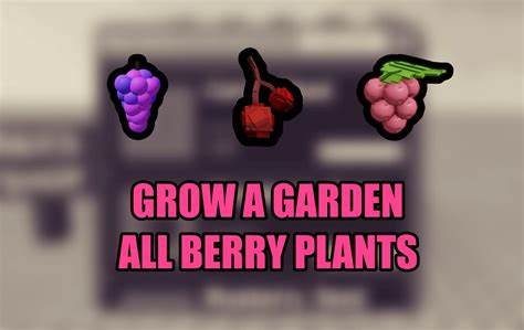 深入揭示Grow a Garden游戏中全部13种浆果植物的获取方法、品质特点及最佳种植策略,助你在2025年秋季活动中轻松攀登魔豆藤顶端,实现丰厚收益。了解从常见浆果到稀有传说级浆果的详细信息,掌握养殖诀窍和交易技巧,提升游戏体验和经济收益。
