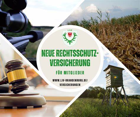 深入分析工会为会员提供的法律保护服务,涵盖服务内容、申请流程及实际权益,帮助会员充分了解并利用法律支持维护自身合法权益。
