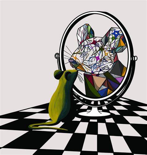 从鼠脸看心思:机器学习如何用面部微动作解读大脑活动
