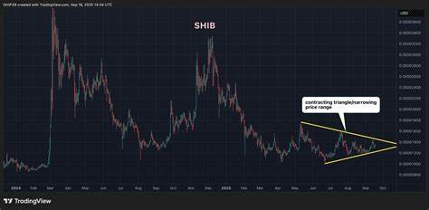 柴犬币(SHIB)近期经历了显著的波动率下降,同时在与哥伦比亚币(DOGE)的价值比率上跌至历史低点。巨鲸大规模转移7万亿代币引发市场高度关注,潜在影响将如何左右柴犬币的未来走势和投资价值成为业内焦点。
