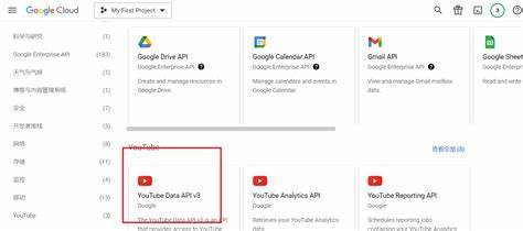 全面解析如何使用Google账号登录YouTube,详细介绍账号管理、安全提示及登录后能享受的丰富功能,帮助用户轻松开启个性化视频体验。
