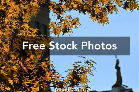 介绍如何在Pexels平台上有效搜索、筛选与下载标注为Nb的高质量免费图片,包含版权注意、尺寸与格式选择、图片优化与SEO实践,帮助内容创作者和设计师快速获取合适素材并安全使用。
