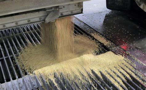 阿根廷作为全球重要的大豆出口国,近年来在出口量上创下新高。然而,特朗普发起的贸易战对全球市场造成重大影响,使阿根廷大豆加工企业面临严峻挑战。本文深入分析贸易战背景下阿根廷大豆产业的现状、困境与发展前景,探讨国际贸易纠纷如何在全球农产品供应链中引发连锁反应。
