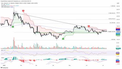 随着Solana网络日活跃地址数创历史新高,市场对其原生加密货币SOL的关注持续升温。美国证券交易委员会(SEC)对Solana交易型开放式指数基金(ETF)的审批进展也引发了投资者对价格潜在上涨的期待。本文详细解读Solana近期的技术表现、网络活跃度及监管动态,帮助读者全面了解SOL未来的价格走势及投资机会。

