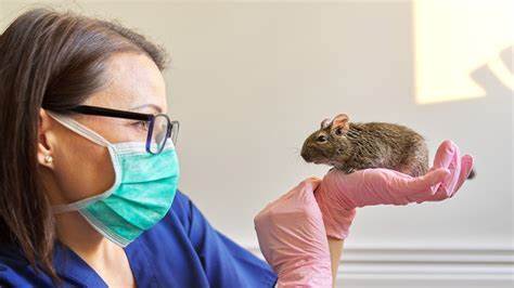 结合3D打印、干细胞技术与实验室培养组织,明尼苏达大学科学家成功实现脊髓损伤的大鼠运动功能恢复,开创脊髓损伤治疗的新纪元。
