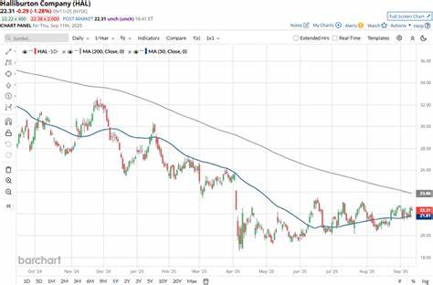 本文全面分析哈里伯顿公司(Halliburton, HAL)在油气设备与服务行业的股票表现,结合市场数据和行业动态,探讨其相较于主要竞争对手的表现优势与劣势,帮助投资者理清投资思路及行业未来走势。
