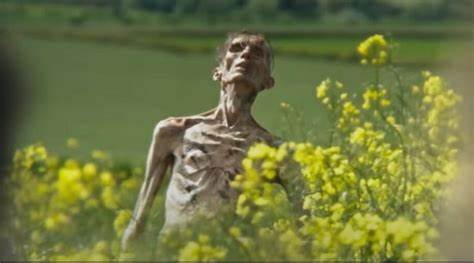 二十年过去,《坠落的人》这张震撼世界的照片依然铭刻在无数人的记忆中。本文深入探讨这张照片背后的故事、作者汤姆·朱诺(Tom Junod)的创作历程,以及社会如何在震惊和哀悼中理解和接受这段历史的复杂情感。
