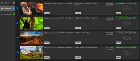 介绍4K Downloader软件强大的视频下载与转换功能,帮助用户高效获取和管理超高清影音内容,支持多平台、多格式,提升观影体验。
