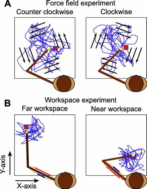 探讨哈佛心理学家艾伦·朗格的逆时针实验,揭秘心理状态如何深刻影响人体的生理健康与衰老过程,揭示思维与身体互动的神奇关系。文章深入分析环境、认知和故事叙述对健康的推动作用,倡导通过心理与社会情境的改变实现延缓衰老的可能性。
