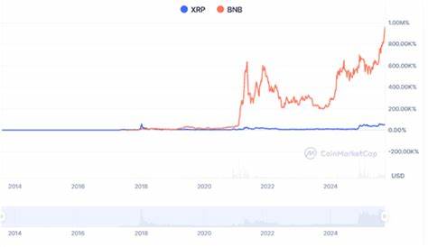 TAP能成为未来货币吗?与币安币(BNB)的全面比较与前景评估
