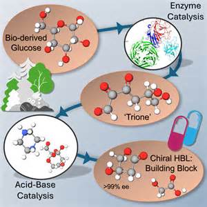 木材废弃物变身药物原料:可降低高昂药价的绿色路径
