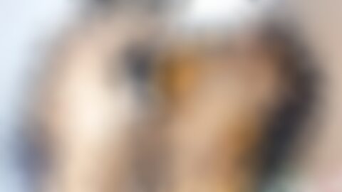 随着互联网的不断发展,成人视频行业经历了巨大的变革。24video Etvshow与Primesexx.com成为了众多用户心目中的顶级平台,提供丰富多样的高清色情影片资源,满足不同用户的需求。本文深入探讨了这些平台的独特优势和内容特点,帮助您更好地了解这一领域的最新动态。
