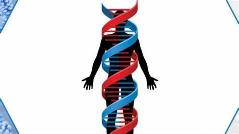 探讨性取向的生物学基础与社会影响,解析最新研究发现,性取向并非由单一基因决定,而是受多种因素共同影响。
