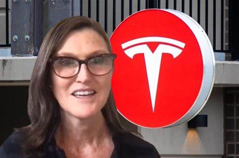 As Tesla Stock Sank On Earnings, Cathie Wood Loaded Up