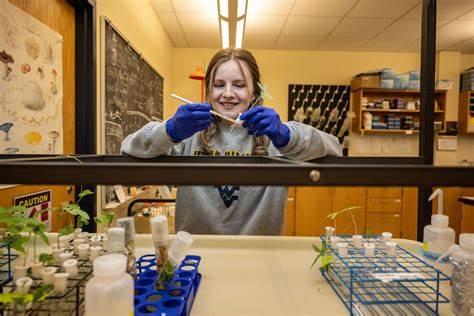 Student discovers long-awaited mystery fungus sought by LSD's inventor