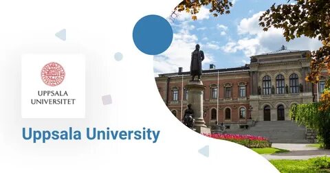 瑞典乌普萨拉大学最新研究显示,女性生育意愿持续下降,经济压力、职业发展与社会观念变化成为主要影响因素。本文深入分析这一趋势背后的原因及其对社会的深远影响。
