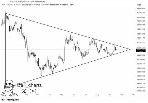 深入解析PEPE币当前技术走势与市场情绪,结合权威分析师观点,探讨其未来可能的价格变动空间及背后驱动力,为投资者提供科学参考和前瞻性判断。
