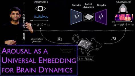 通过探索觉醒状态如何作为时空脑动力学的关键变量,揭示多模态脑生理信号的内在联系与统一机制,推动理解大规模脑网络活动以及行为和生理状态的动力学本质。本文深入阐述觉醒动态在脑功能中的核心作用,并探讨其作为潜在动力系统的理论意义及应用前景。
