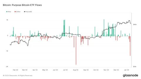 Bitwise CIO says Bitcoin’s dip driven by ETF overenthusiasm, not Grayscale outflows - CryptoSlate