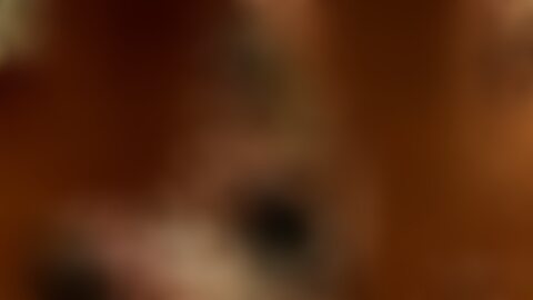 探讨Felony主题下女性主导风格(Femdom)成人影片的特点、受众喜好及其在现代色情文化中的地位与发展趋势,剖析内容创作与用户体验的多维度影响。
