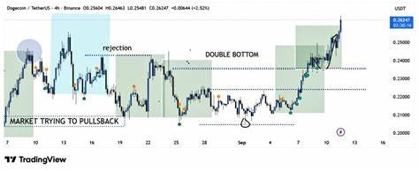 近年来,狗狗币因其独特的社区文化和广泛的关注度成为数字货币市场的热门资产。近期技术指标显示,狗狗币或将迎来一次重大的价格突破,布林带宽度的变化暗示了高达380%的潜在涨幅,本文深入解析狗狗币的技术面和市场动向,帮助投资者把握未来趋势。
