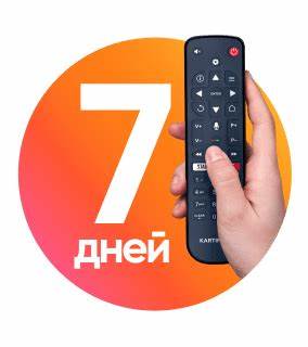 了解如何利用现代网页播放器轻松实现电脑端观看家乡电视节目,畅享丰富频道与海量影视资源,随时随地感受家的温暖与精彩内容。本文深入解析网页播放器的优势、使用方法及推荐软件,助您在电脑上无缝体验高清流媒体播放。
