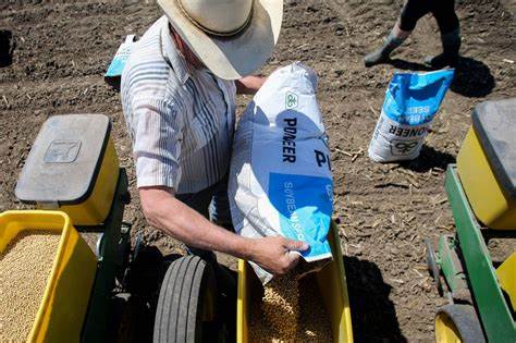 随着全球气候变化和地缘政治冲突对粮食供应链造成严重影响,谷歌和微软等科技巨头支持NASA科学家建立的粮食危机热线,为全球粮食安全提供关键数据支持与预警。本文深入探讨这一项目的背景、技术手段及其对未来全球农业监测与粮食安全的深远影响。
