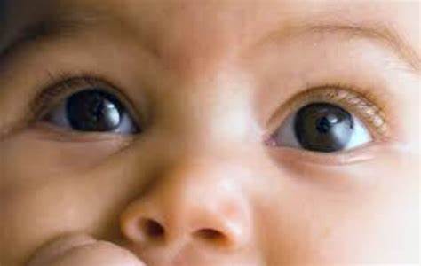 突发的视力丧失让人措手不及。通过Opus和o3这两款先进的人工智能系统,患者成功识别病情,迅速求医,最终避免了永久失明的命运。这篇文章深度剖析了视神经炎的早期症状、诊断过程及治疗方法,展示了人工智能在医疗急救中的巨大潜力和实际应用价值。通过真实经历引发对罕见自身免疫疾病MOGAD的关注,呼吁大家重视眼部健康,牢记及时就诊的重要性。
