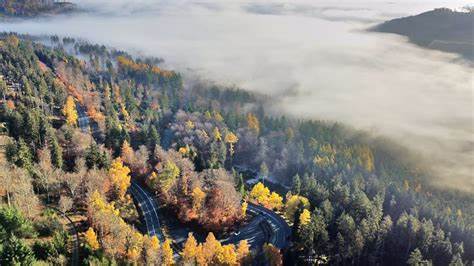 每日精选全球最精彩、最具影响力的图片新闻,带您深入了解当日重大事件及生活百态,呈现丰富多彩的视觉盛宴。
