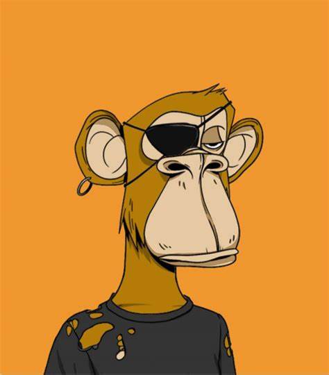 深入探讨一位投资者以37,000美元售出Bored Ape #3707,却曾以425,000美元购入的真实经历,揭示NFT市场的波动性及数字资产投资的风险与机会。本文透过这一案例分析数字收藏品市场现状及未来趋势,为投资者提供宝贵参考。
