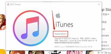 深入探讨iTunes的多样功能及其在管理数字媒体中的重要作用,帮助用户更好地理解和利用这一苹果生态中的关键工具。
