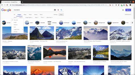 探索Google图片搜索的强大功能,了解如何高效利用该工具查找、筛选和管理图片资源,提升搜索效果,满足不同需求。
