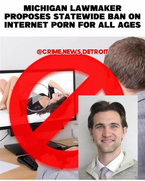 密歇根州最新提出的法案旨在禁止网络上某些被认为破坏公共道德的材料的传播,探讨此举对社会、法律及互联网自由的潜在影响。文章深入分析法案内容及其背后的动机,解读其可能带来的后果。
