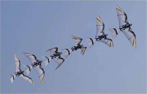 探讨现代鸟类仿真机器人在创新翼型系统上的技术进展,特别聚焦于自助起飞和低速飞行能力的实现,解读其在无人机及智能机械领域的广泛应用前景。
