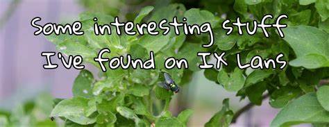 深入解析互联网交换局域网(IX LANs)的运行机制、潜在风险及安全隐患,揭示影响网络稳定性和安全性的关键技术与现实问题,助力网络工程师与安全专家提升对IX LAN环境的理解和防护能力。
