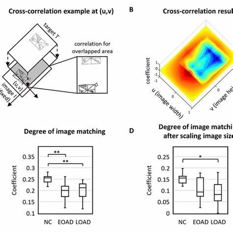 RCFT Descent Engine:分区空间中的几何记忆收敛与自主性涌现

