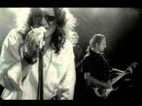 深入解析Perfect乐队1997年音乐视频《Niepokonani (Undefeated)》的音乐风格、视觉叙事、时代背景与文化影响,探索为何这首作品在波兰摇滚史与乐迷心中留下长久印记
